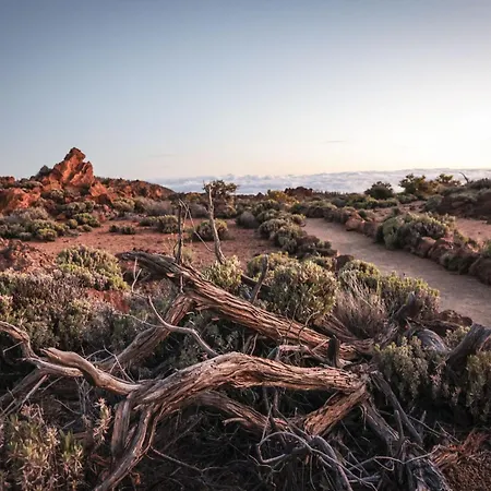 Casa Mo Tenerife Villa Garachico (Tenerife)
