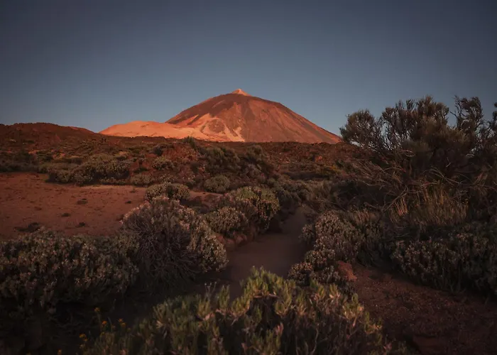 Casa Mo Tenerife
