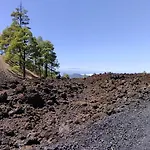 Casa Mo Tenerife فيلة غاراتْشيكو