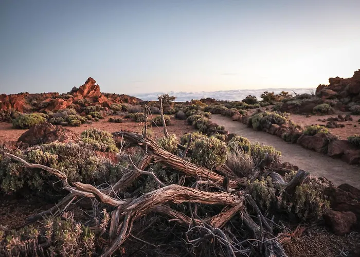 Casa Mo Tenerife וילה גרצ'יקו